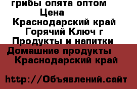 грибы опята(оптом)  › Цена ­ 150 - Краснодарский край, Горячий Ключ г. Продукты и напитки » Домашние продукты   . Краснодарский край